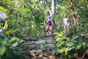 BIB: 
                            <button type="button" onclick="openModal(27704549)" class="btn btn-primary btn-sm float-right btn-popup" data-toggle="modal" data-target=".modal-high-quality">
                        <i class="fas fa-shopping-cart"></i> Add to Cart
                    </button>
                                            <button type="button" onclick="isThisMe(27704549, true)" class="btn btn-success btn-sm float-right btn-popup btn-isme hidden" data-toggle="tooltip" data-placement="bottom" title="นี่คือรูปของคุณใช่ไหม คลิกที่นี่เพื่อเอาเข้าอัลบั้ม">
                        <i class="fas fa-plus"></i> Add to album
                    </button>
                    <button type="button" onclick="isThisMe(27704549, false)" class="btn btn-warning btn-sm float-right btn-popup btn-isnotme hidden">
                        <i class="fas fa-ban"></i> Remove from album
                    </button>